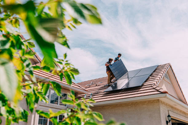 Best Roof Moss and Algae Removal  in Enfield, NC